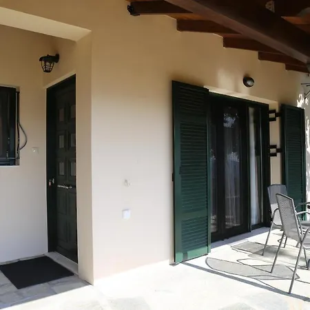 Morchella Mushroom *