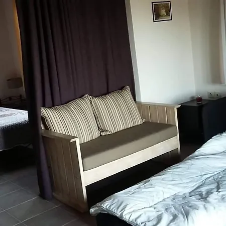 Morchella Mushroom Дом отдыха